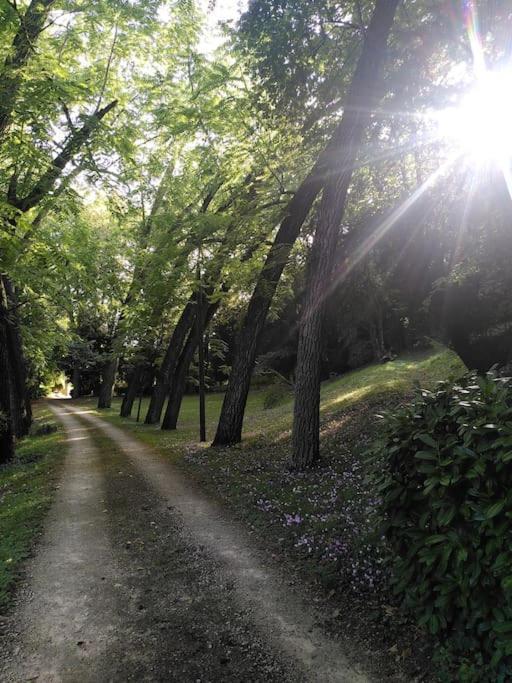 Willa Magnifiques Ecuries Juste Renovees - Domaine De La Mulotiere Langeais Zewnętrze zdjęcie